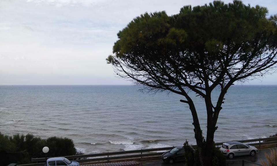 Villa Bluoltremare Realmonte Esterno foto